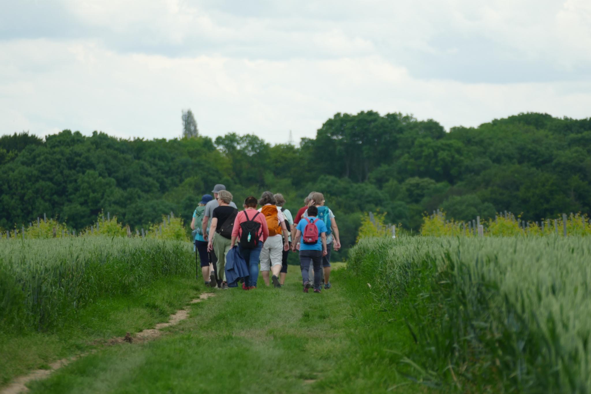 Wanderung vom 21. Juli 2024