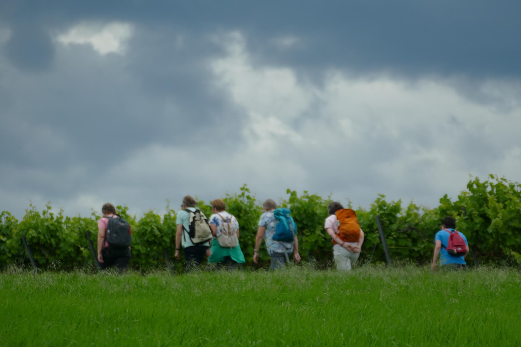 Wanderung vom 26.05.2024