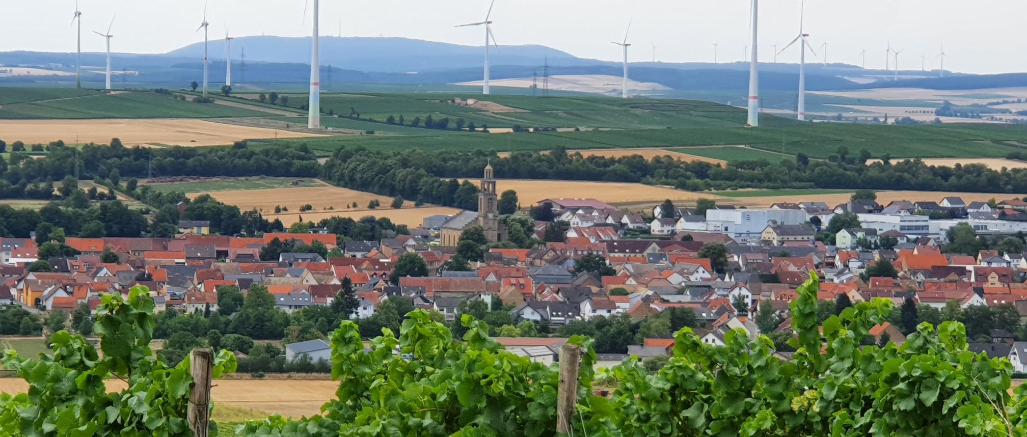 Blick vom Wißberg auf Gau-Bickelheim