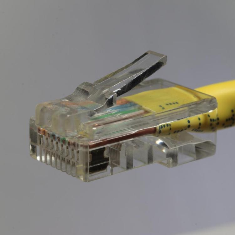 Ethernet-Stecker