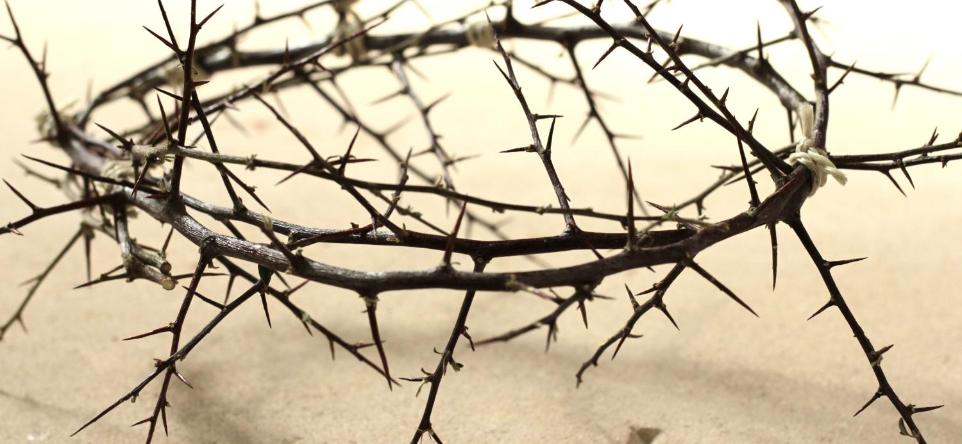 Karwoche - Dornenkrone