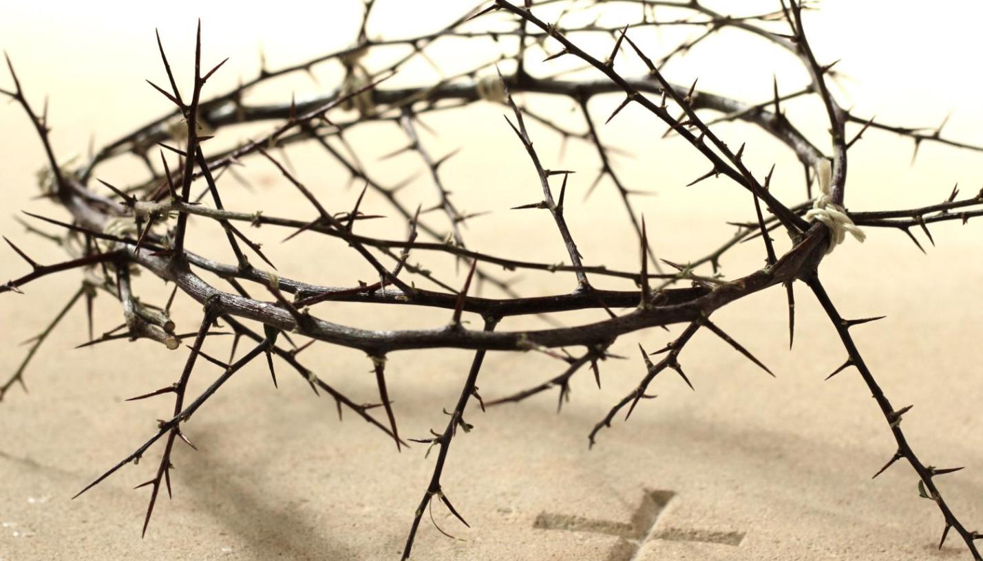 Karwoche - Dornenkrone