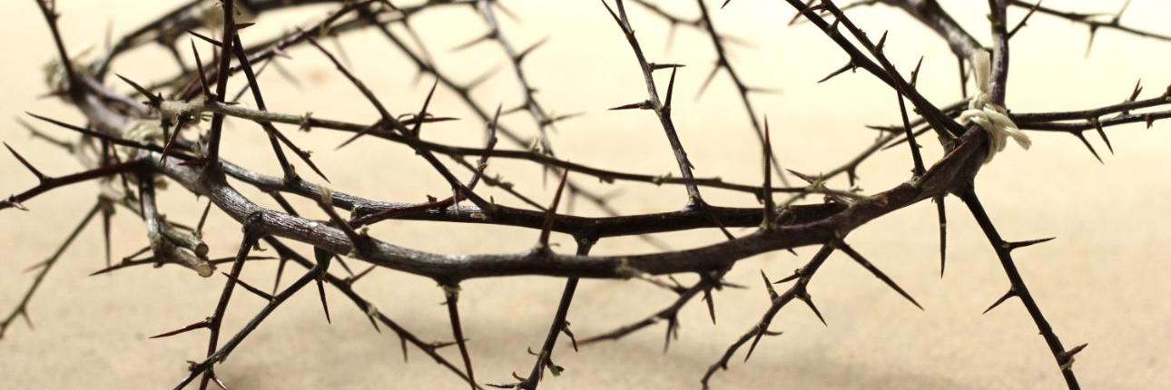 Karwoche - Dornenkrone