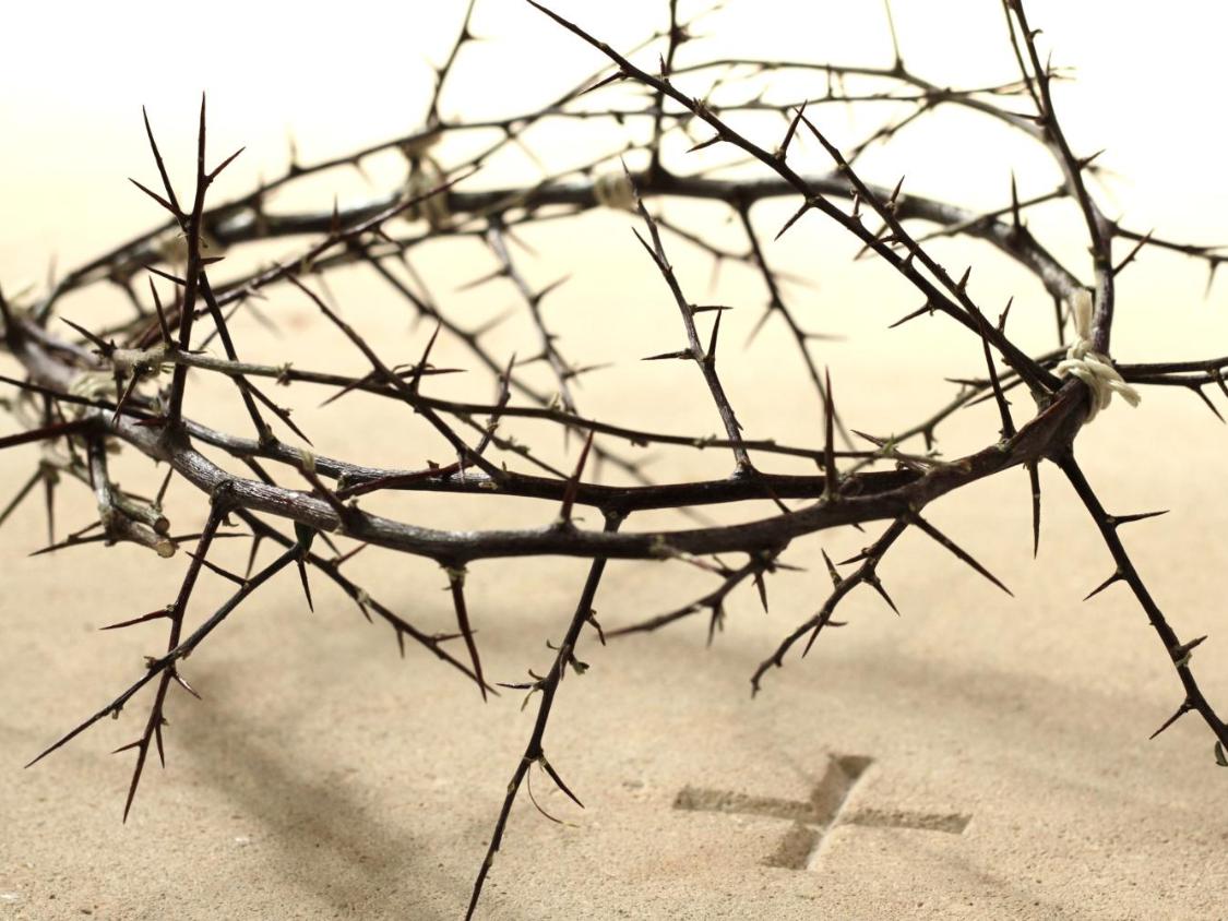 Karwoche - Dornenkrone