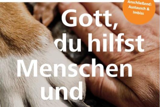 ACK Schöpfungszeit 2025