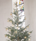 Tannenbaum
