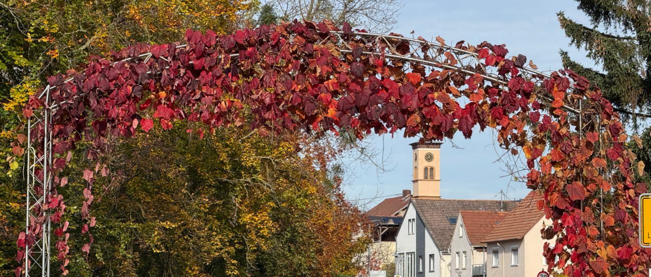 Herbst in Gimbsheim