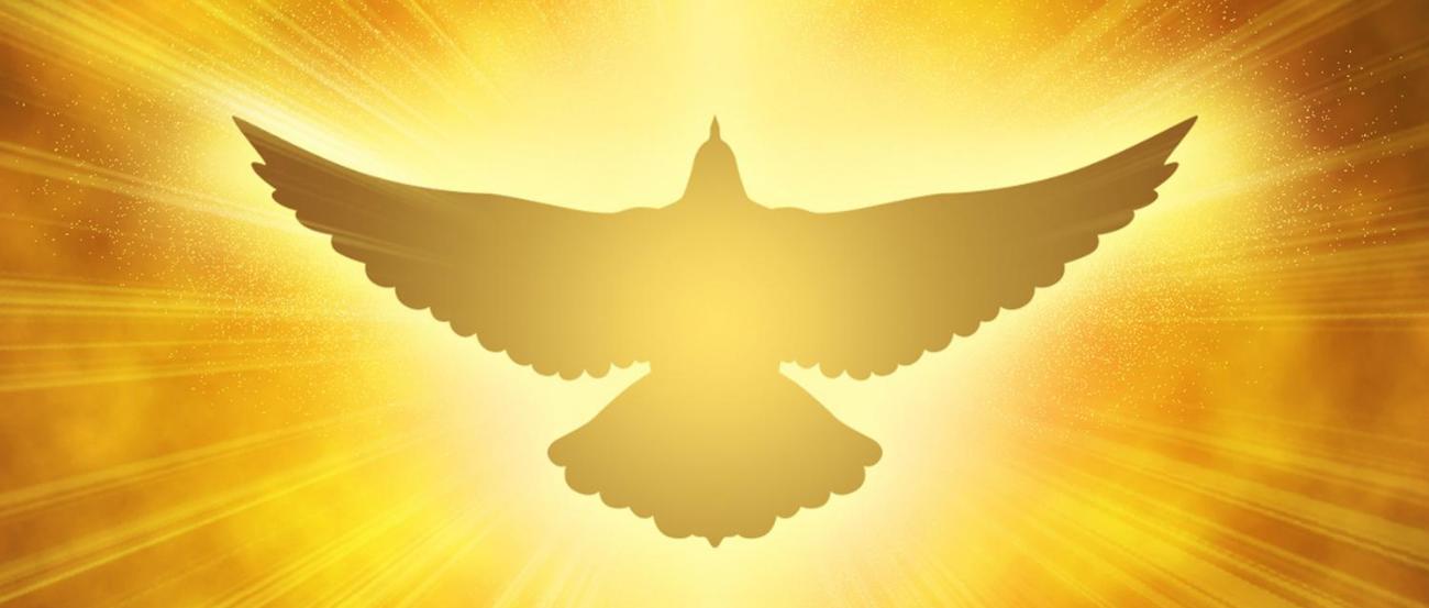 dove-3951312_by_jeffjacobs1990_pixabay_pfarrbriefservice (c) jeffjacobs1990 / Pixabay.com dove-3951312_by_jeffjacobs1990_pixabay_pfarrbriefservice
