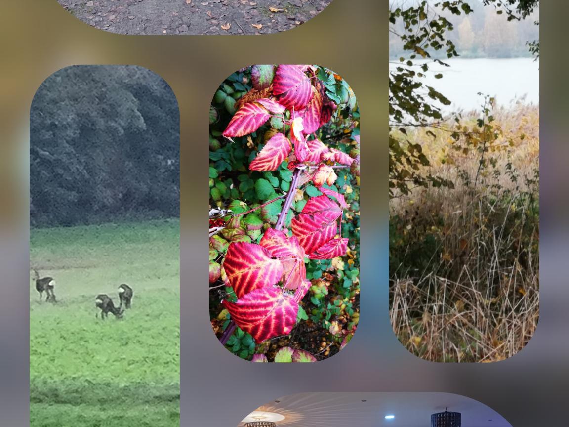 Eindrücke der Tour um den Wölfersheimer See