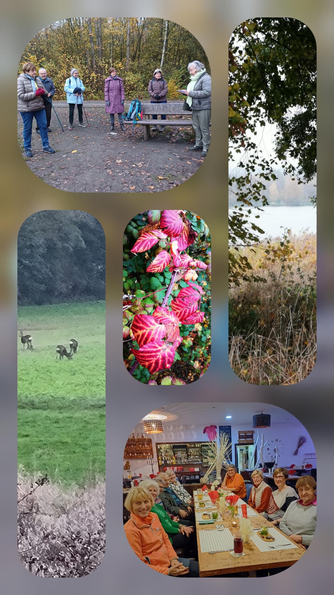 Collage Wölfersheimer See