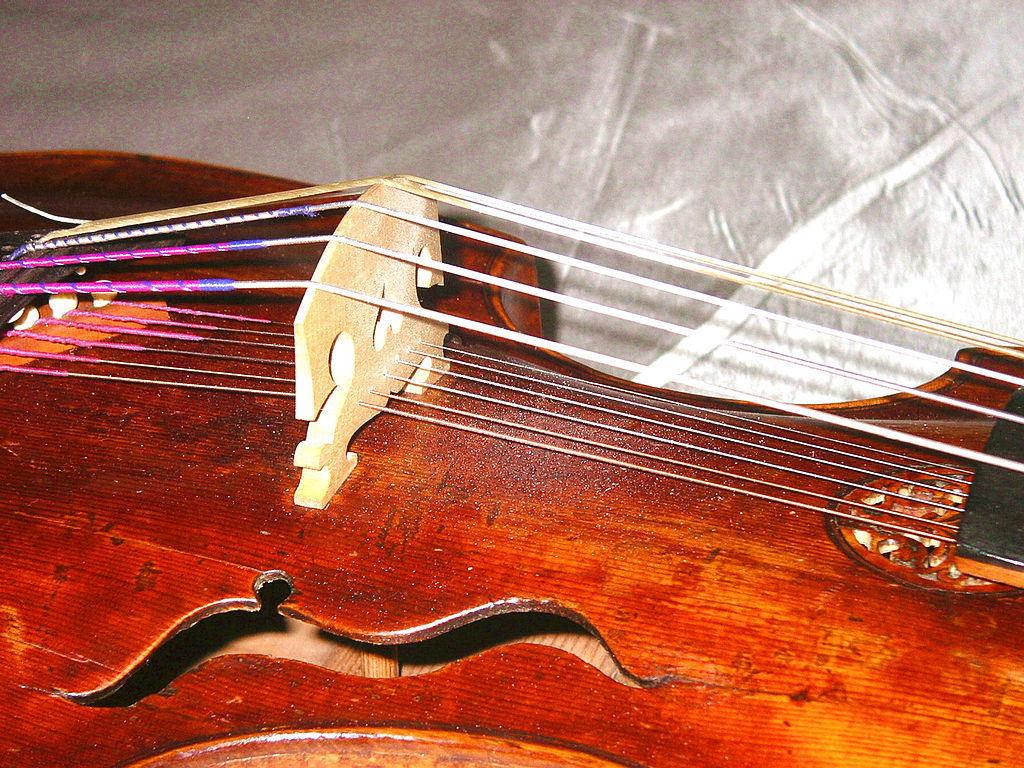 Melodiesaiten und Resonanzsaiten ermöglichen den bei Streichinstrumenten einmaligen Klang (c) Wikipedia