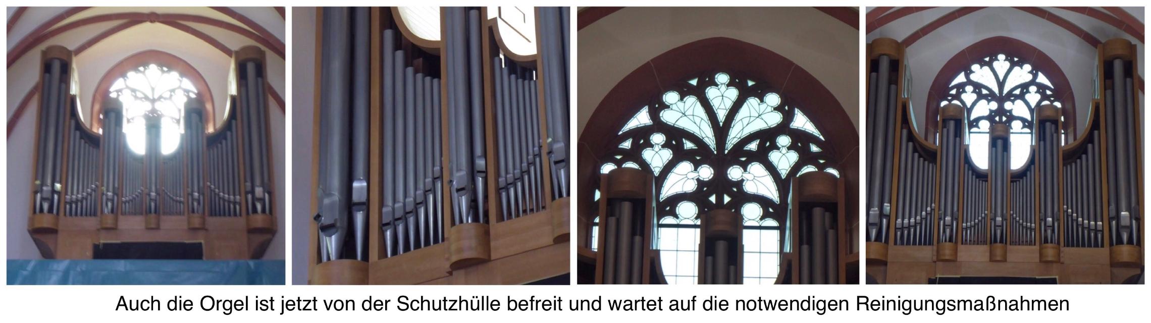 c.1_Orgel_1717 (c) Brigitta Gebauer 2021