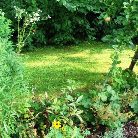 Sommerzeltlager