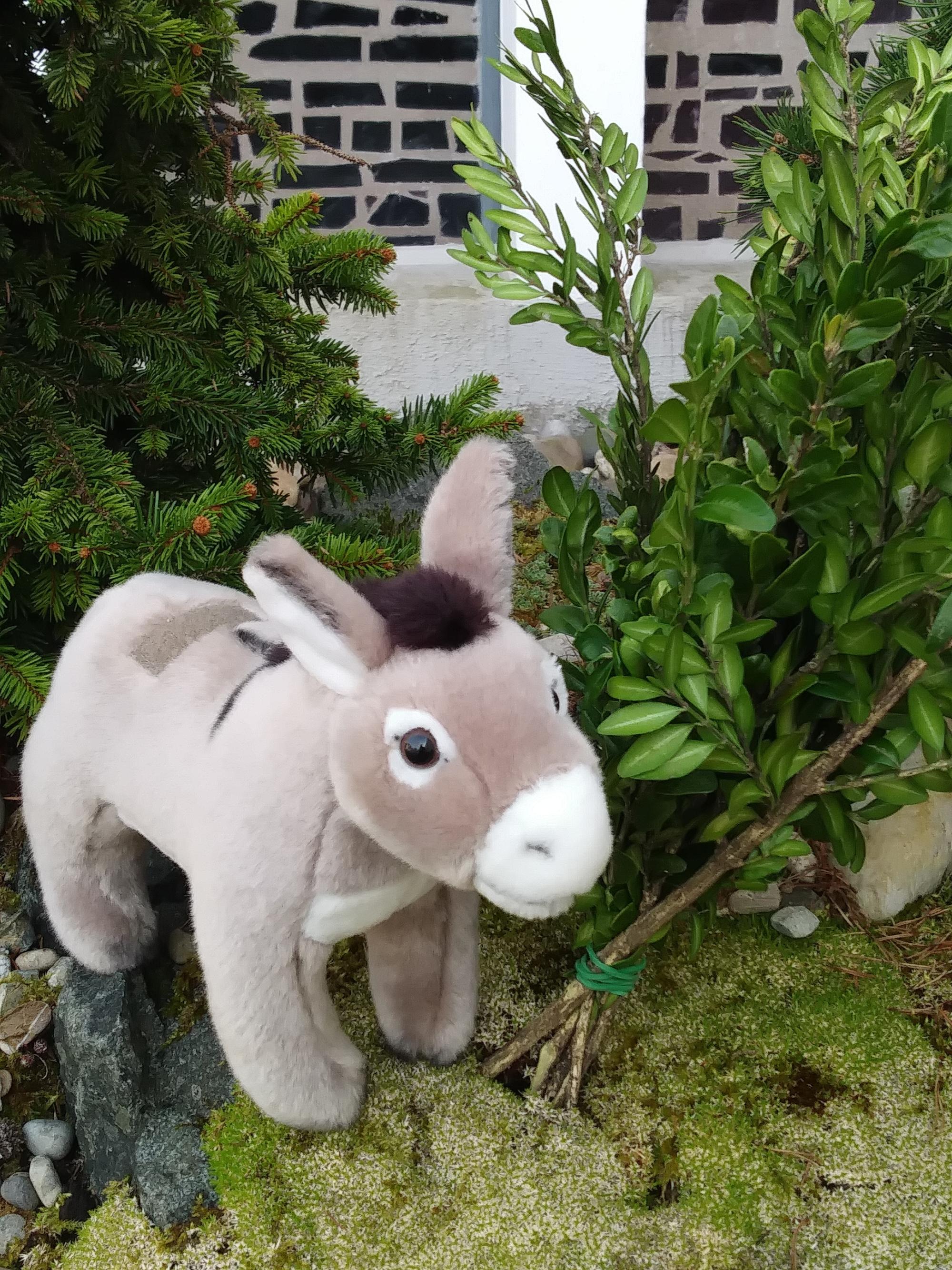 Der Esel des Palmsonntags