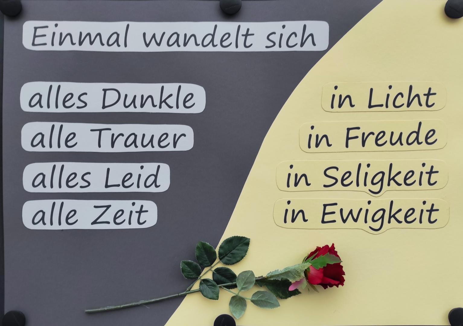 November 2025 (c) T. Franz