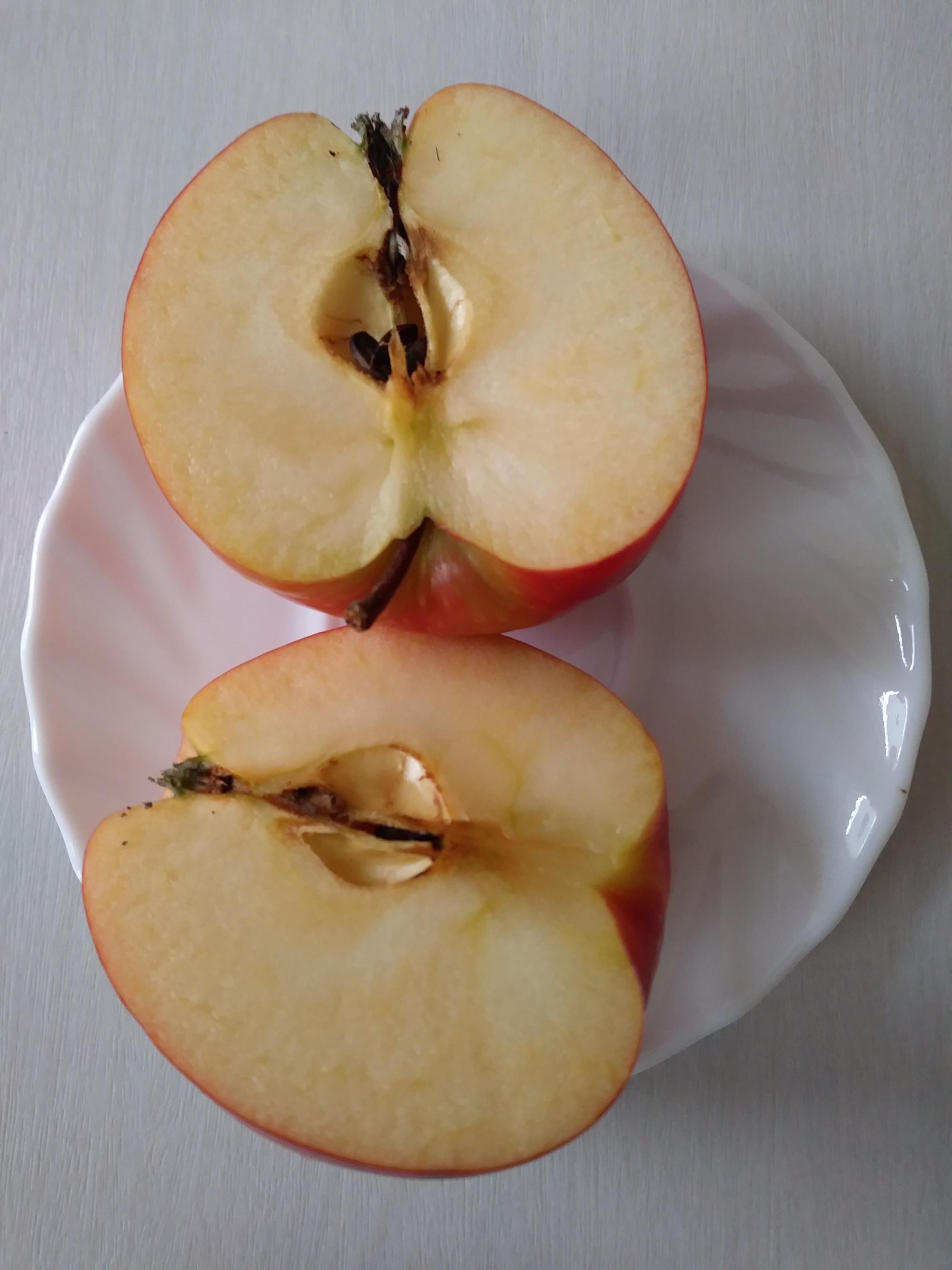 geteilter Apfel