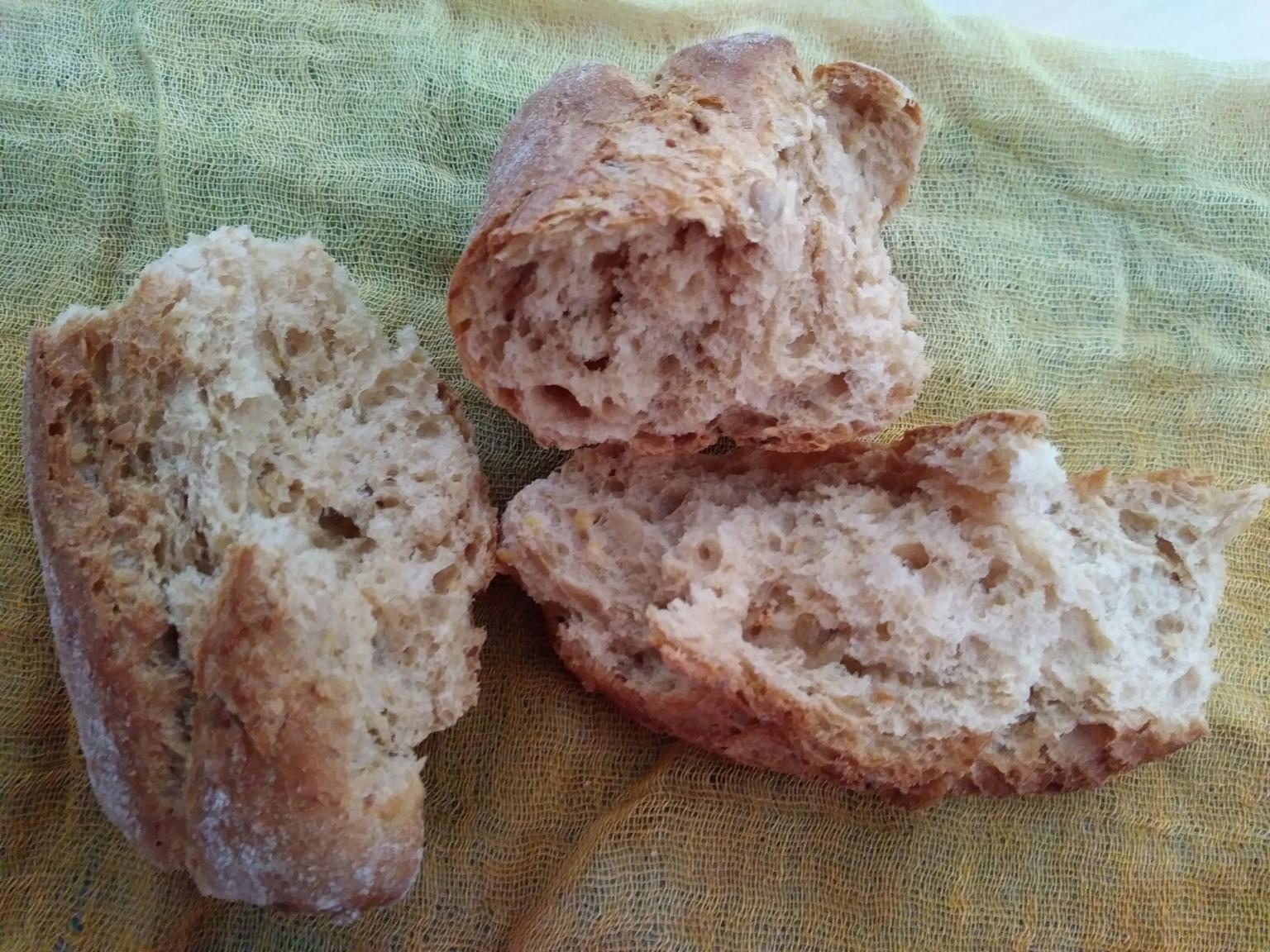 geteiltes Brot (c) E. Wanka