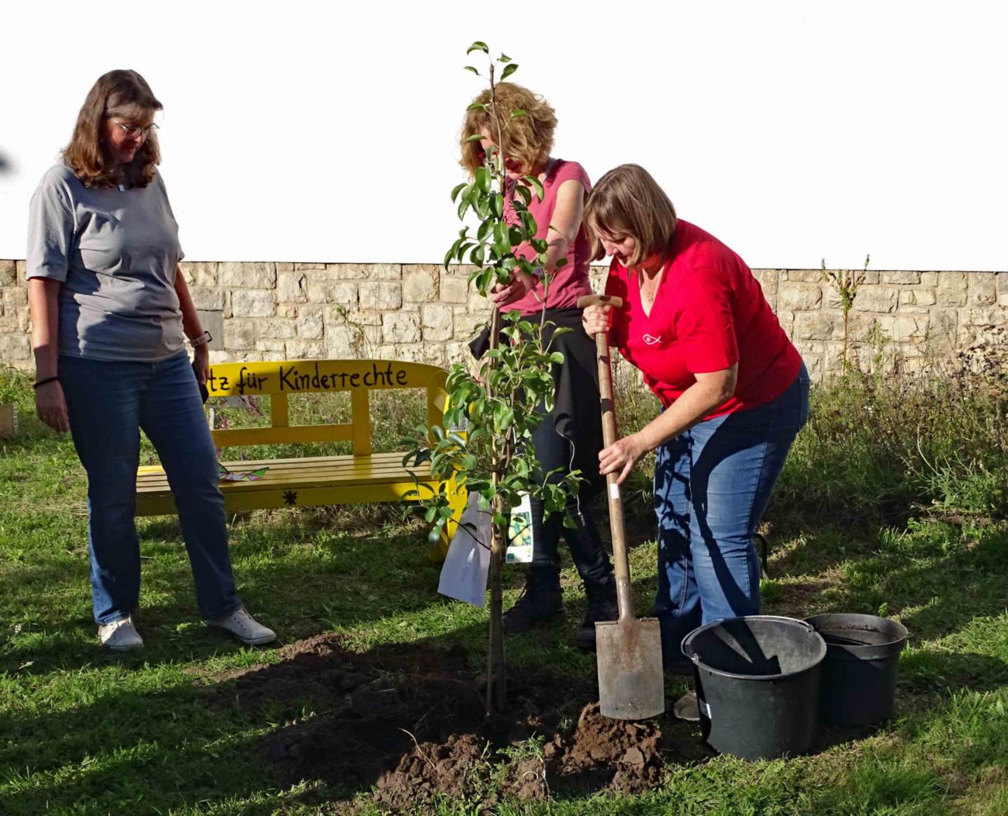 Der Birnbaum wird gepflanzt. (c) Markus Schenk