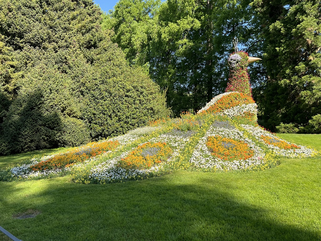 Blumeninsel Mainau (c) Peter Schill