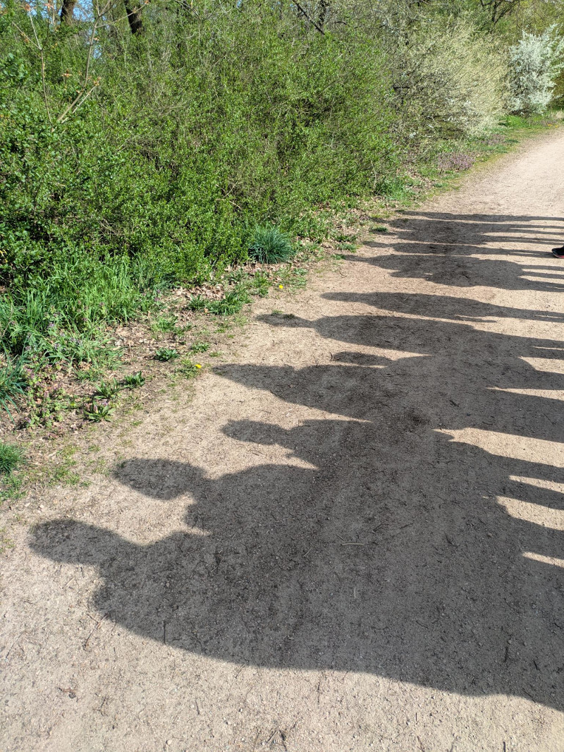 Schatten der Emmausgänger auf dem Weg