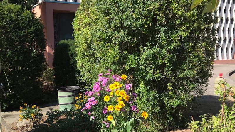 Ein Eimer für Gartenabfälle hinter einem Beet mit Herbstblumen