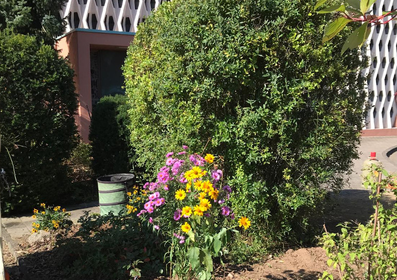 Ein Eimer für Gartenabfälle hinter einem Beet mit Herbstblumen