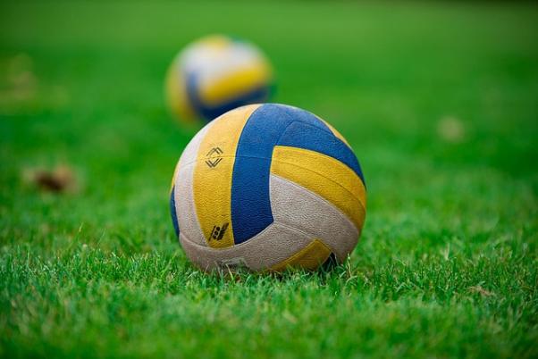 volleyball auf einer Wiese