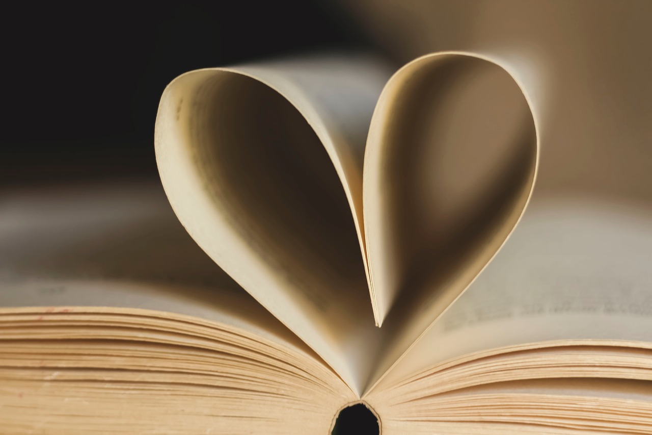 Die Bibel mit Herz und Verstand verstehen (c) Pixabay