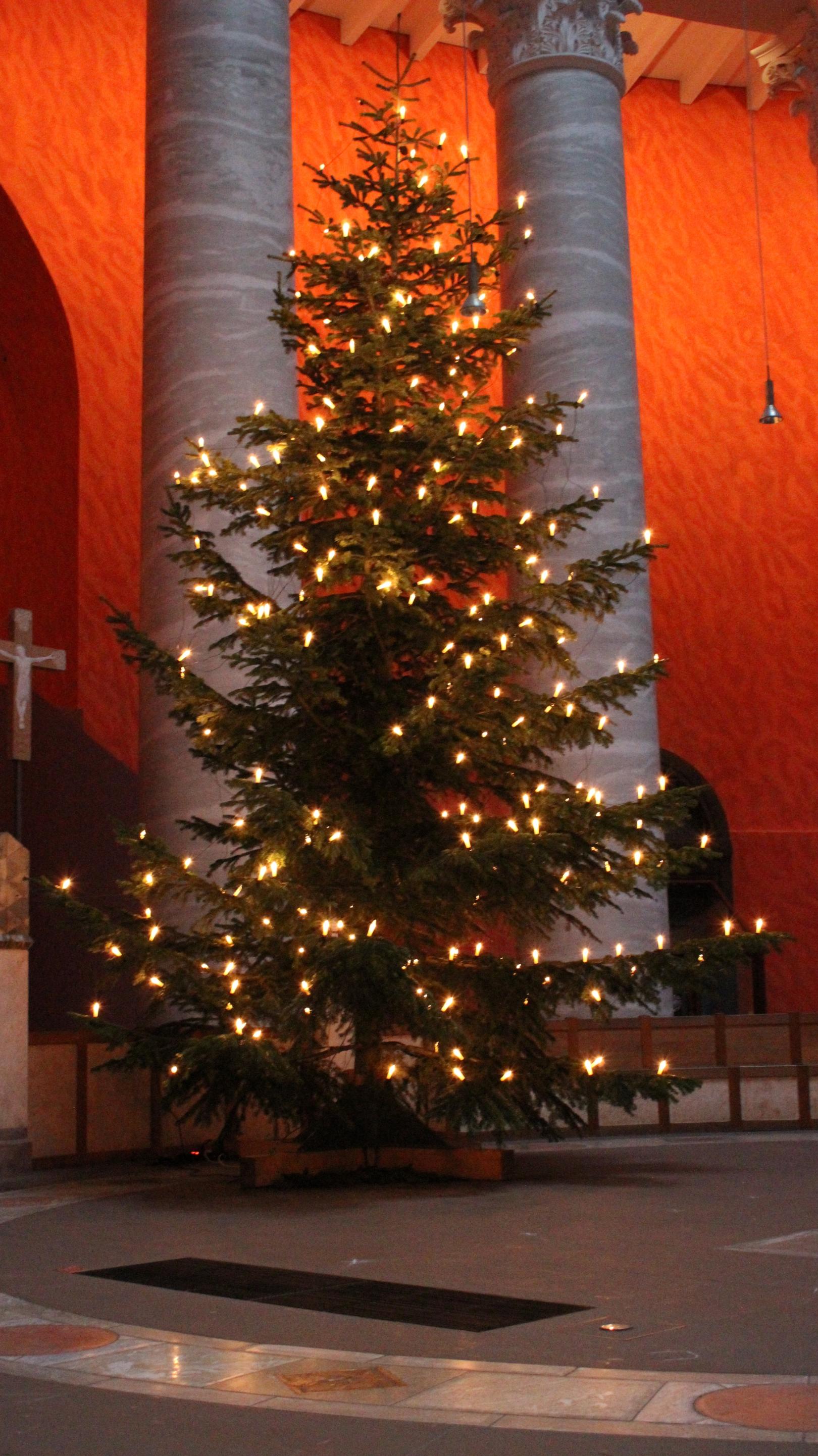 Christbaum (c) St.Ludwig Darmstadt