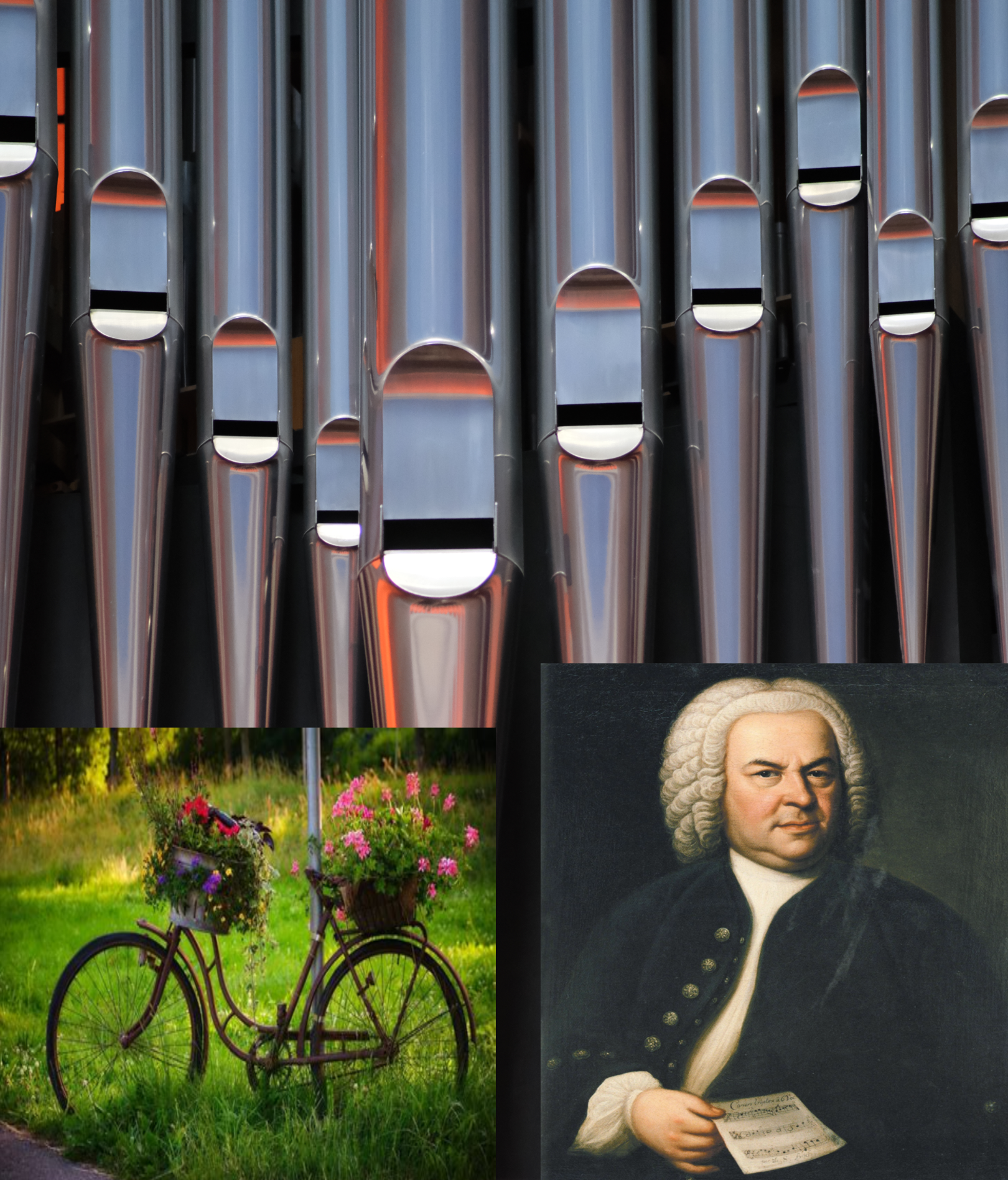 BAch&Bike (c) privat