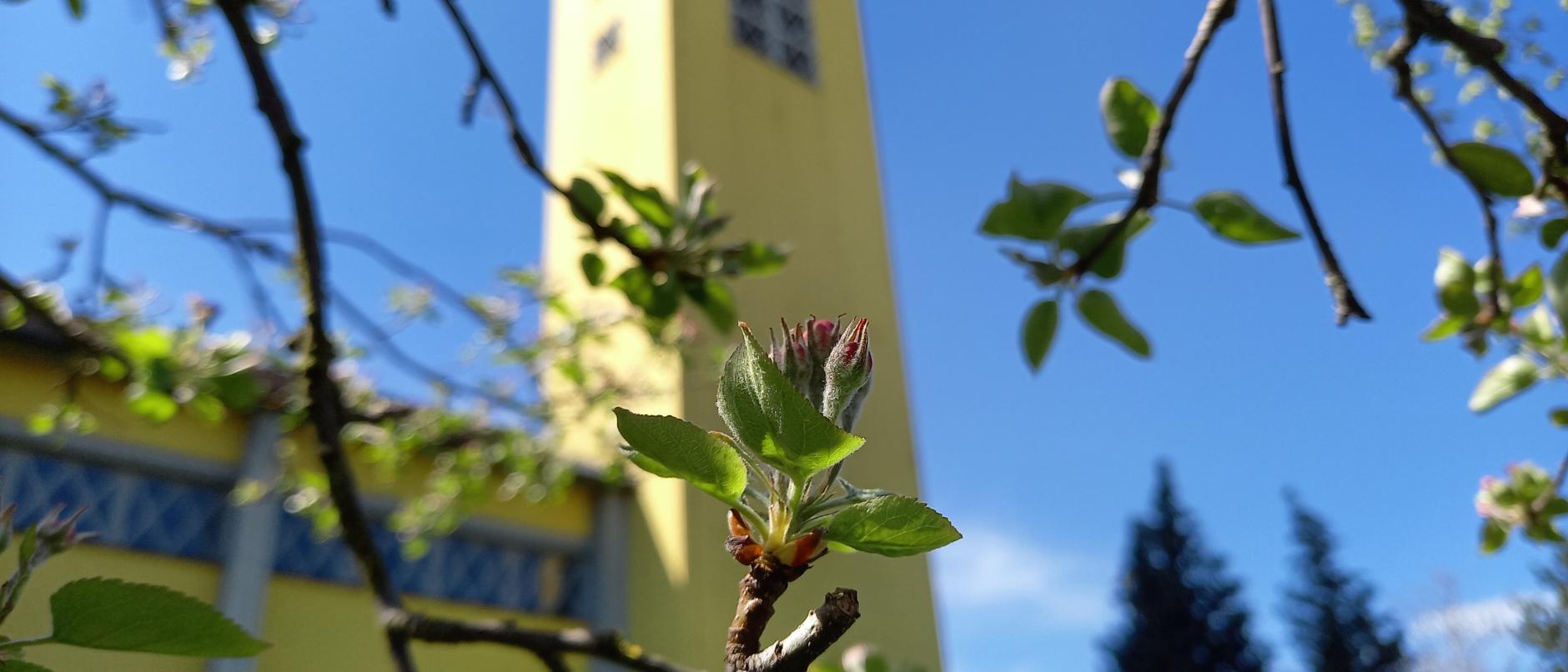 Frühling in Sankt Martin (c) C.Doetsch