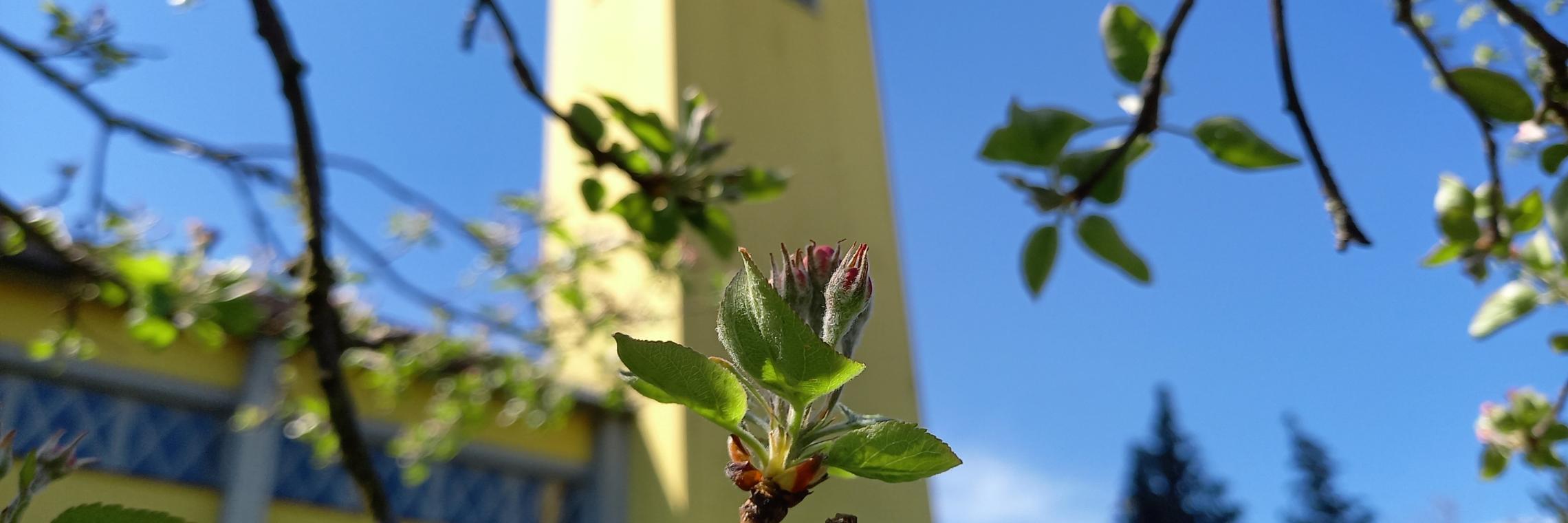 Frühling in Sankt Martin (c) C.Doetsch