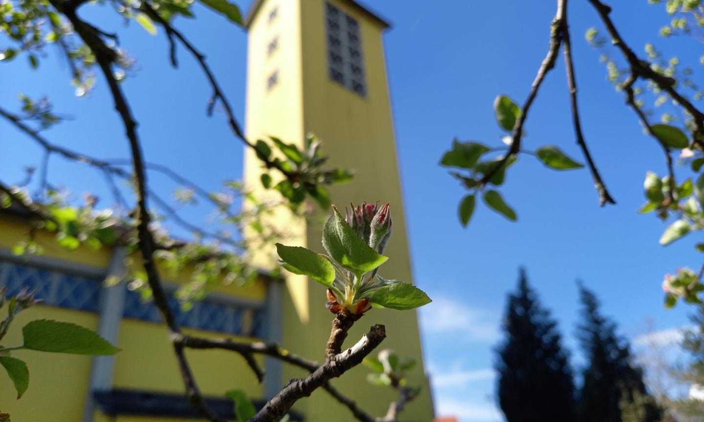 Frühling in Sankt Martin (c) C.Doetsch