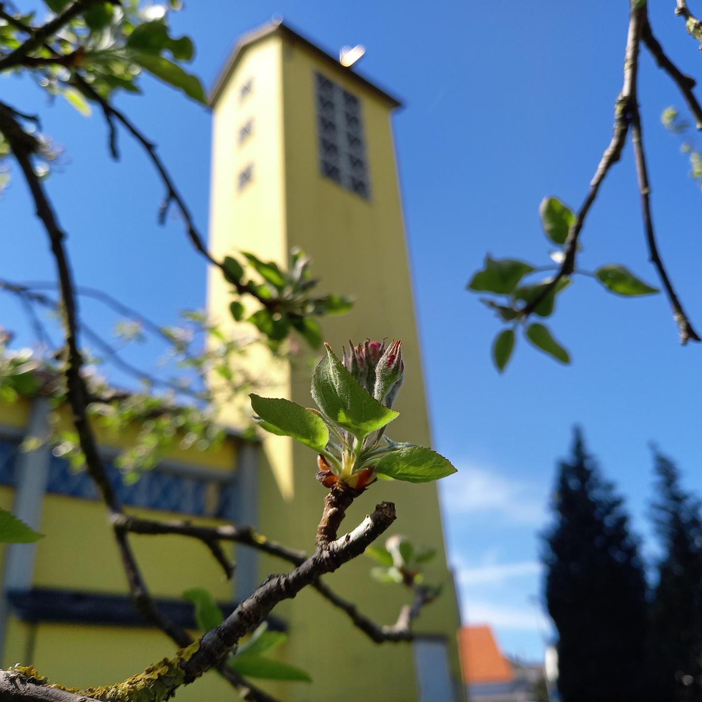 Frühling in Sankt Martin (c) C.Doetsch