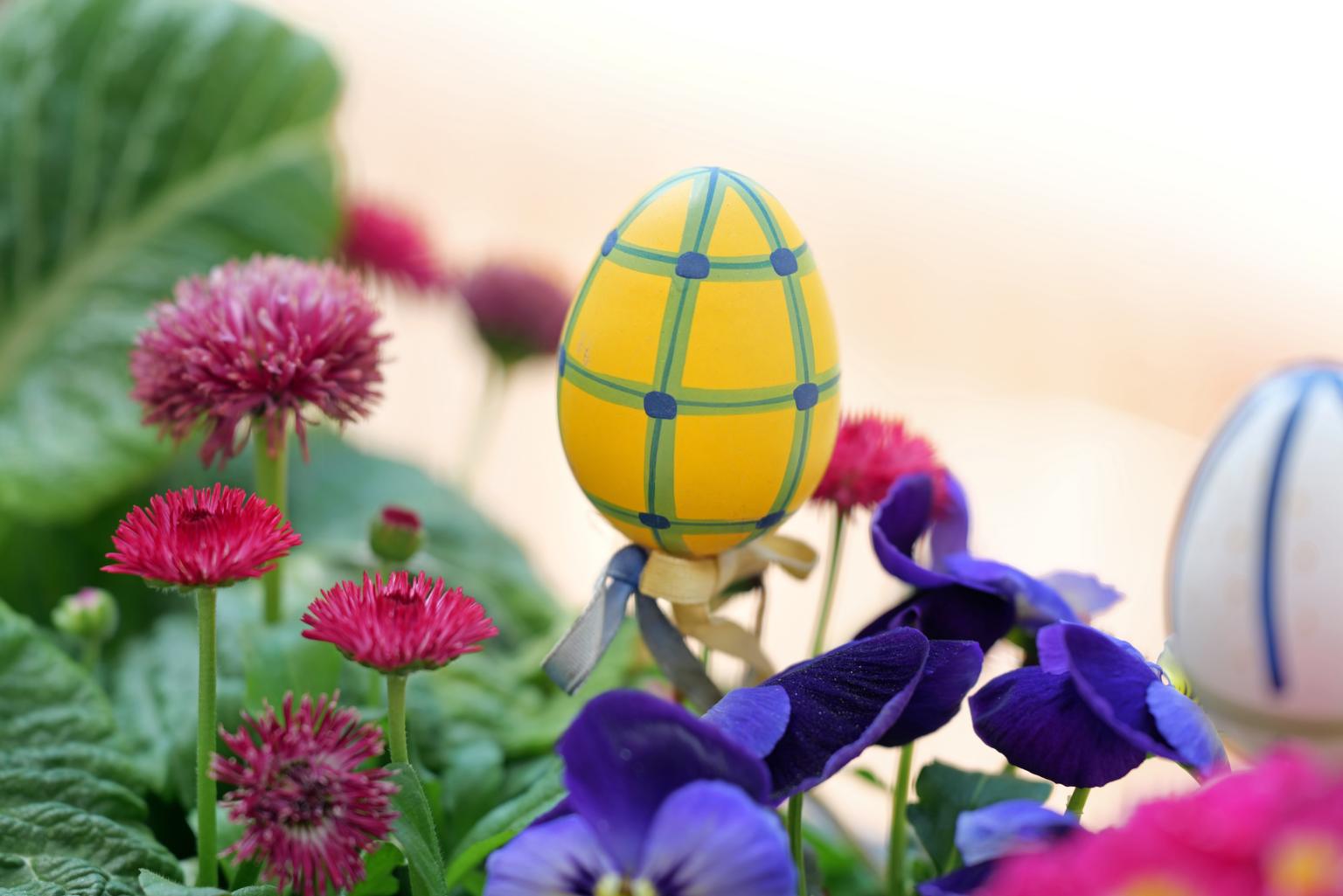 9160_osterschmuck_by_peter_weidemann_pfarrbriefservice (c) Peter Weidemann/pfarrbriefservice