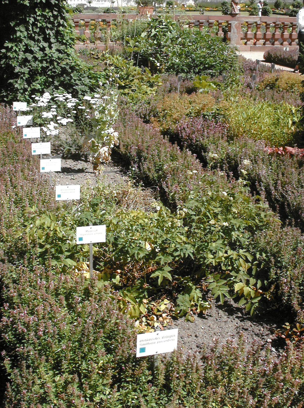 Kräutergarten