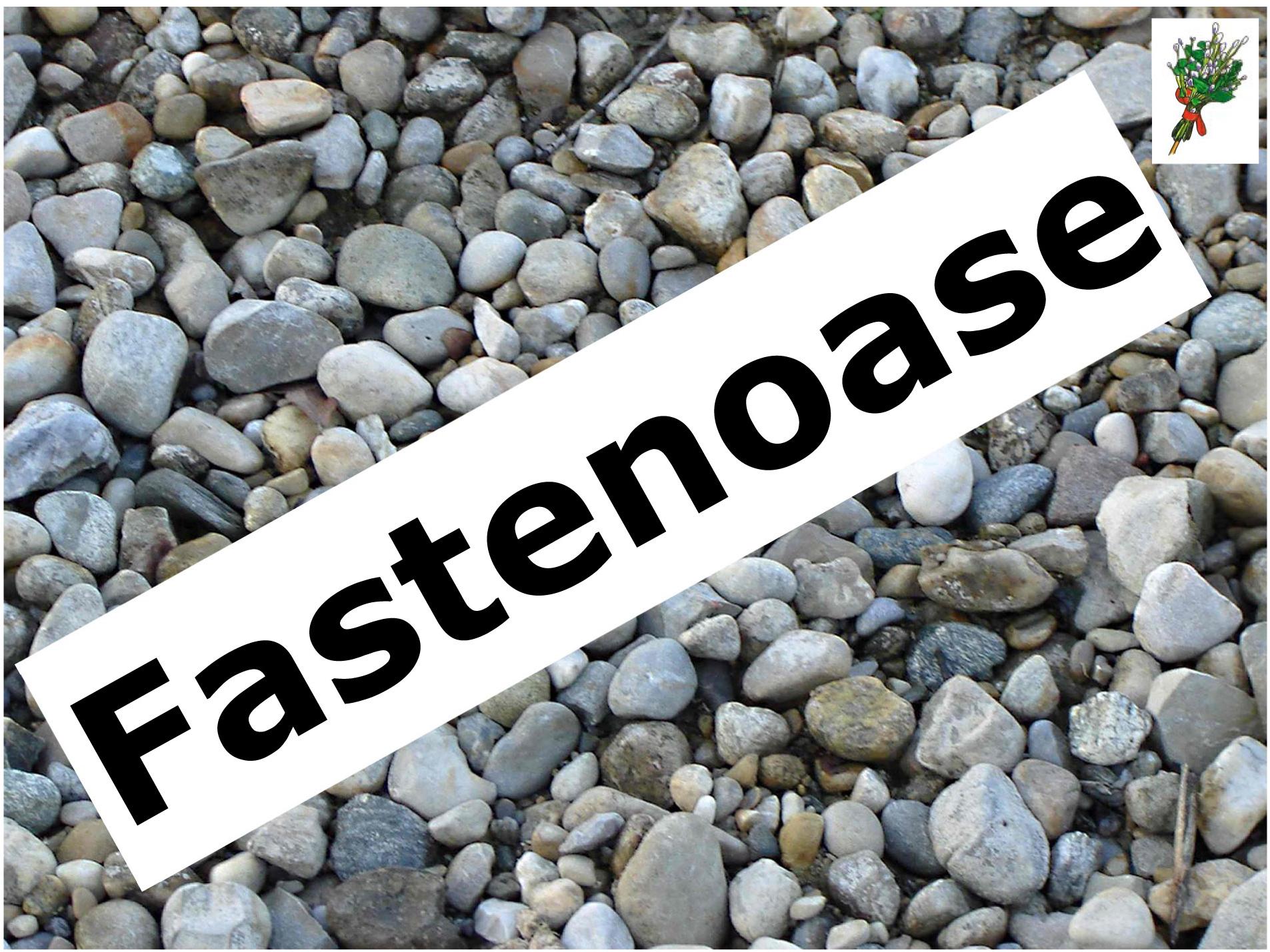 Fastenoase - Kieselsteine