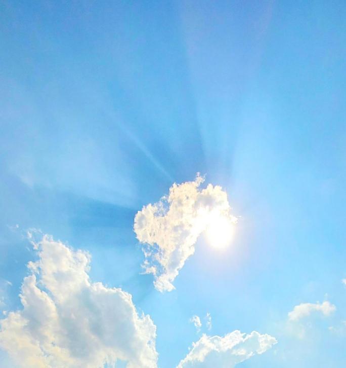 Aus der Wolke....