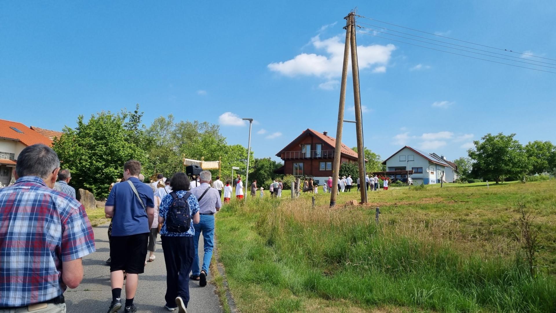 Ein sehr langer Prozessionszug mit sehr vielen Menschen zieht an den Weiden vorbei (c) Pastoralraum Odenwald/WW