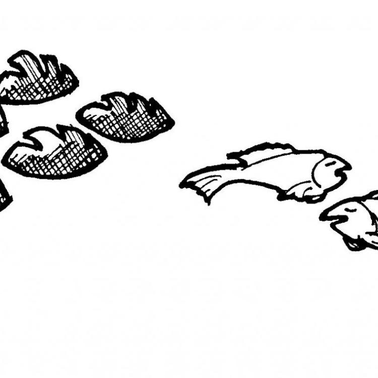 Brot und Fische