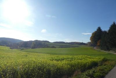 Auf dem Weg nach Bethlehem...