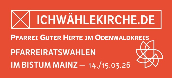 Zur Pfarreiratswahl (c) Bistum Mainz