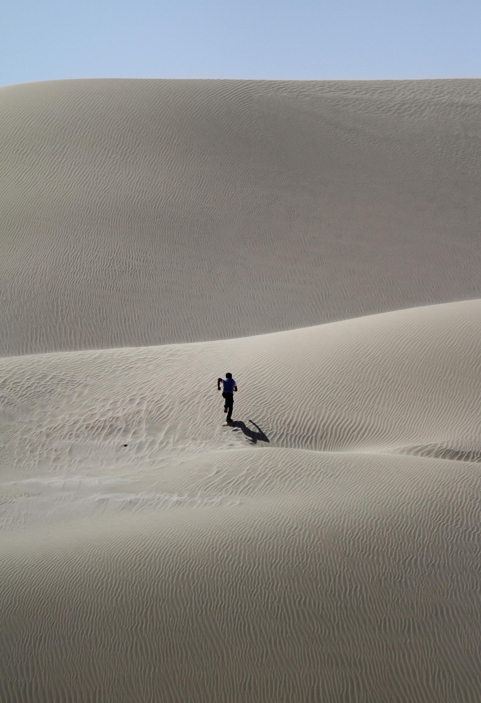 Doch nicht allein in der Wüste? (c) Pixabay