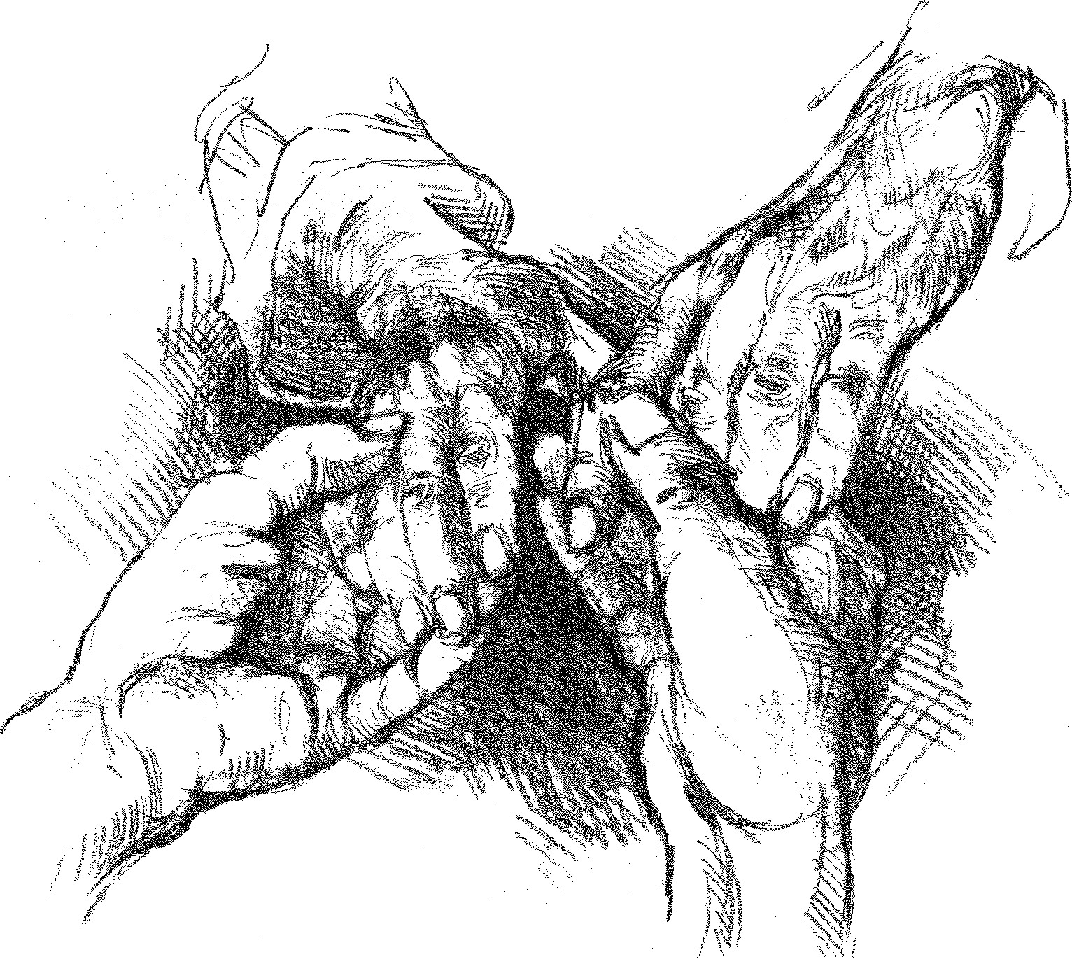 Hände Seelsorge (c) Image Online