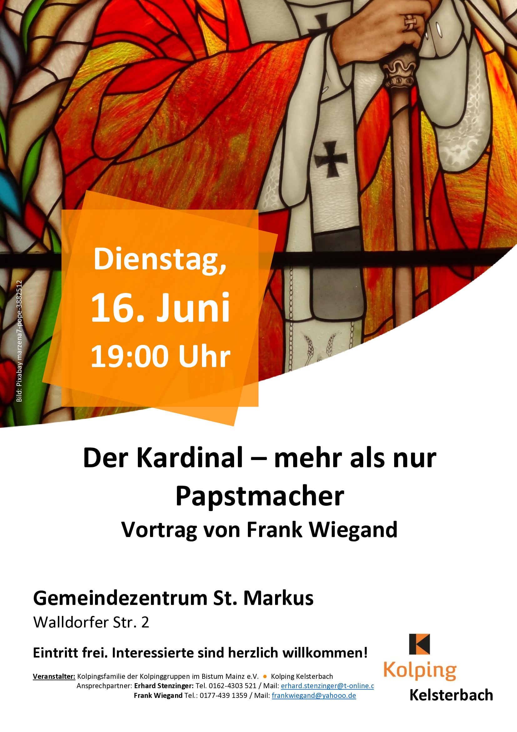 Der Kardinal (c) Redaktion