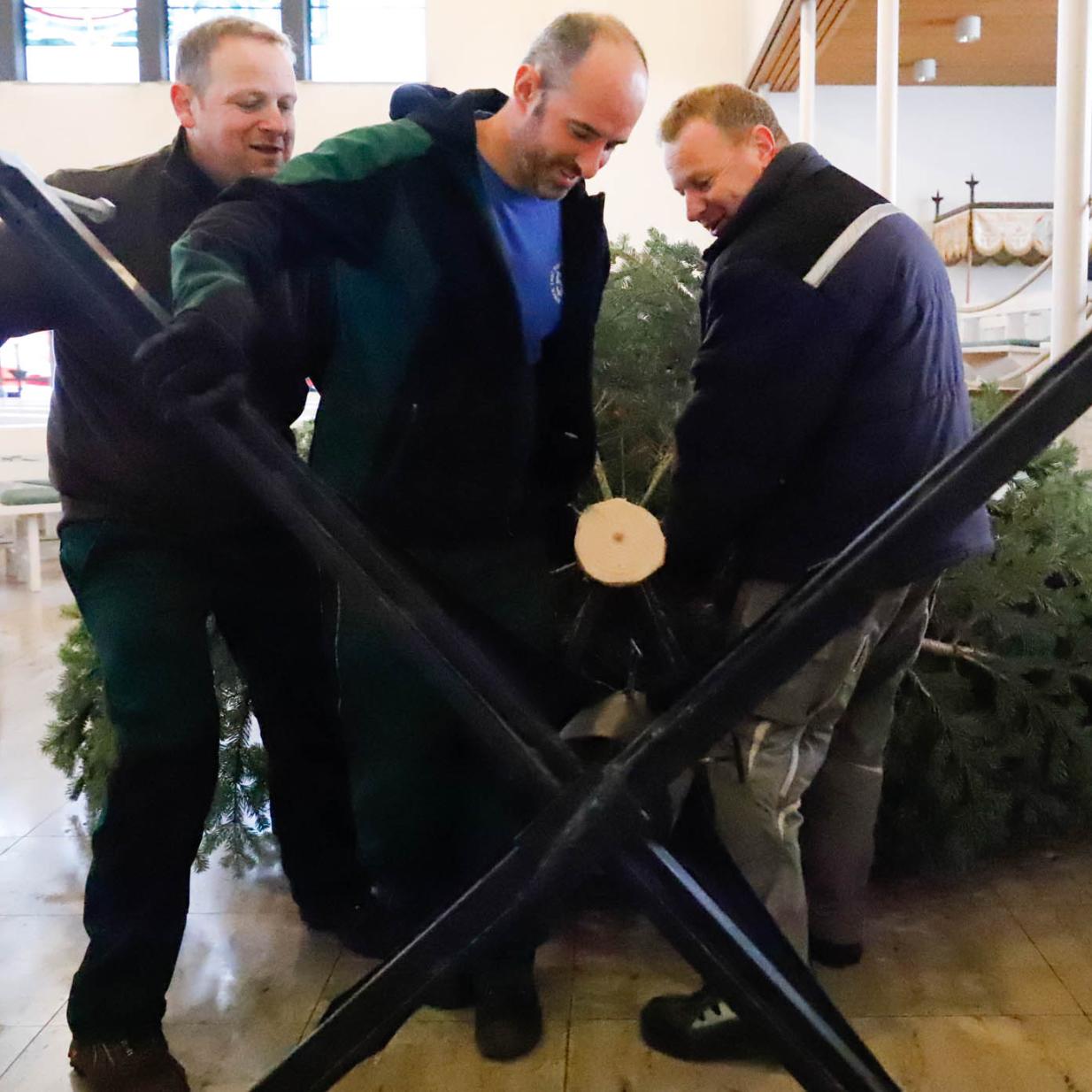 Christbaum 2018 (c) Peter Back