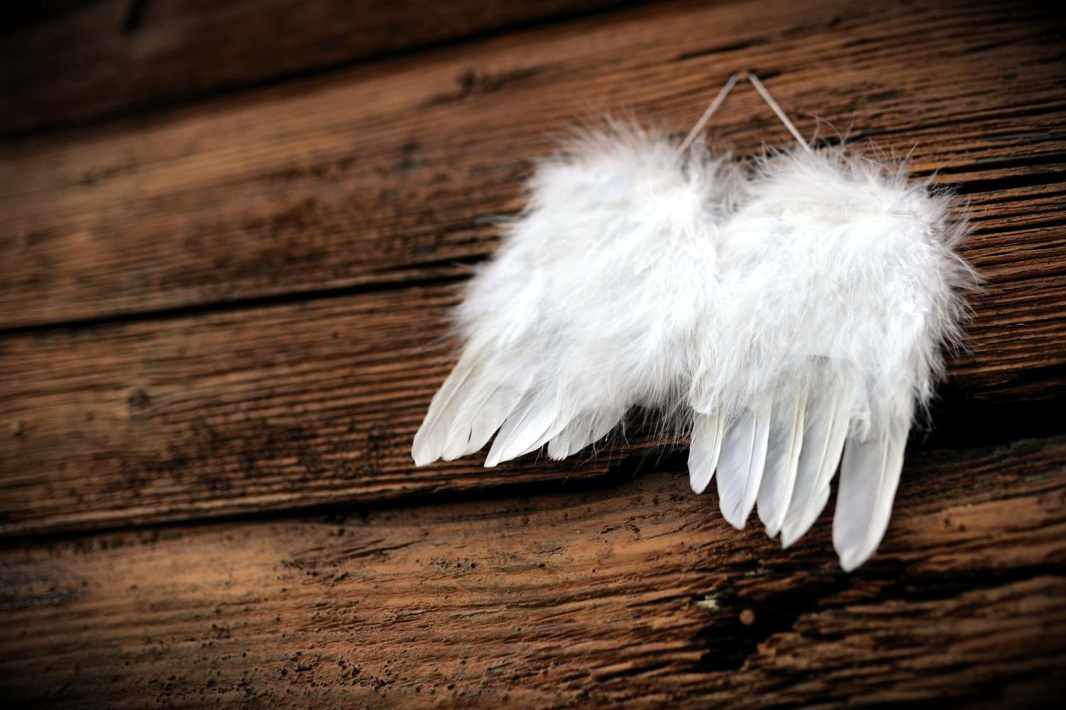 feather-4661244_by_congerdesign_pixabay_pfarrbriefservice