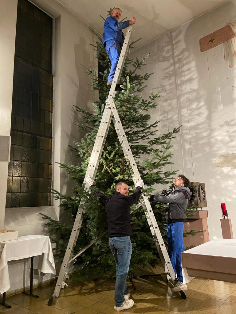Die Aufstellung des Weihnachtsbaumes in St. Andreas (c) Alfred Beltrup