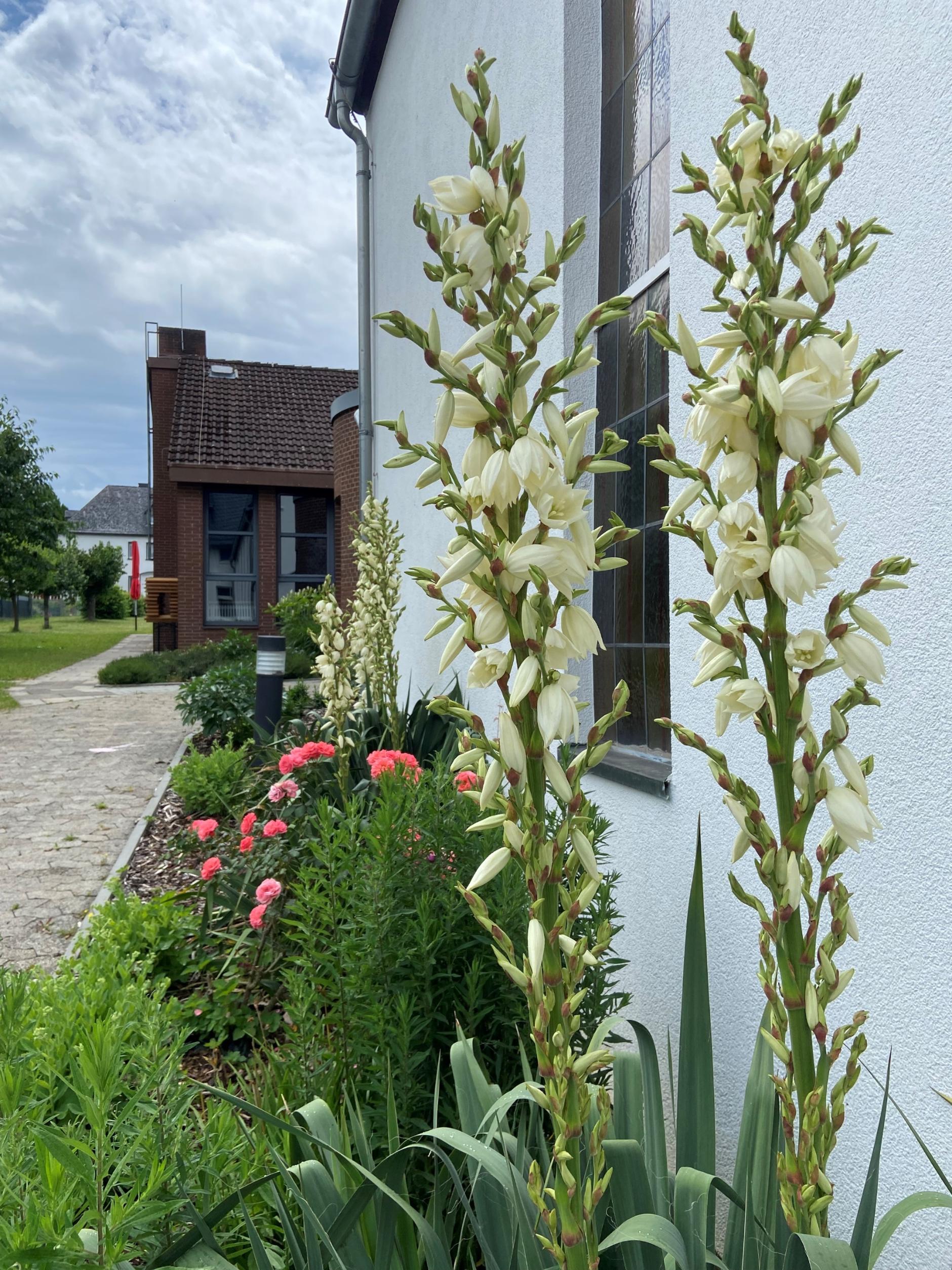 Der Sommer ist da! (c) Pfarrei St. Paulus und St. Andreas