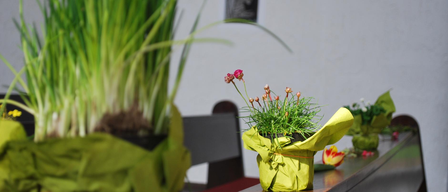 Familiengottesdienst Frühling